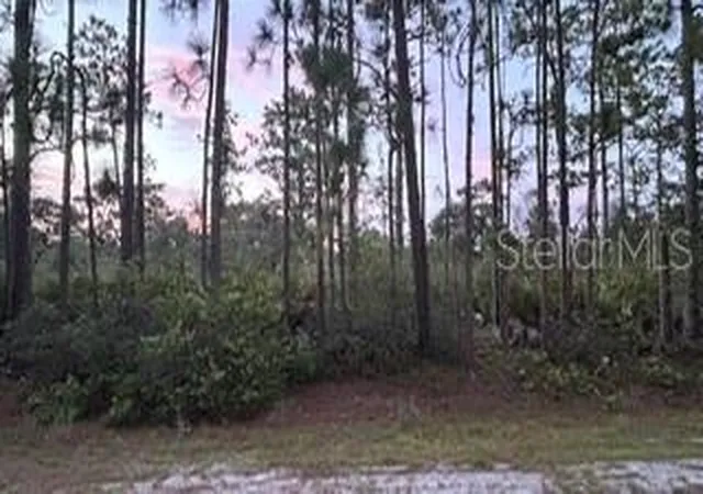 1st image of 116 Camellia Dr, Indian Lake Estates, FL 33855 | MLS# TB8537685
