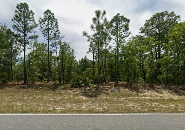 1st image of 1782 W Hampshire Blvd, Citrus Springs, FL 34434 | MLS# OM730120