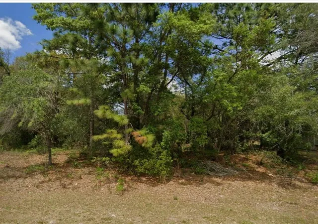 1st image of 1895 W Hampshire Blvd, Citrus Springs, FL 34434 | MLS# OM730122