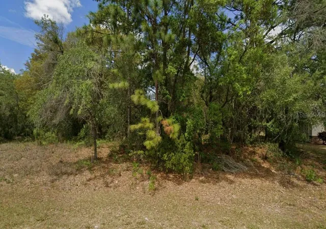 4th image of 1895 W Hampshire Blvd, Citrus Springs, FL 34434 | MLS# OM730122