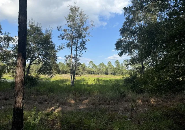 Photo 3 of Land for sale at Tbd Ne 150th Avenue Rd #LOT 5, Fort Mc Coy, FL 32134 | MLS# OM730127 | Listing updated on 2026-08-12