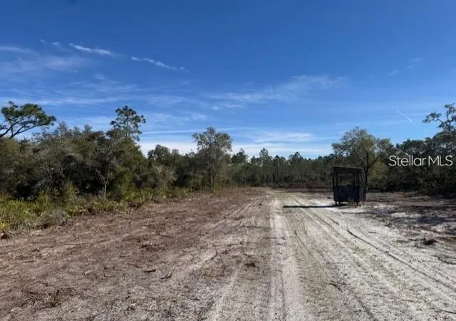 Photo 3 of Land for sale at Tbd NE 150th Avenue Rd #LOT 5, Fort Mc Coy, FL 32134 | MLS# OM730127 | Listing updated on 2026-08-12