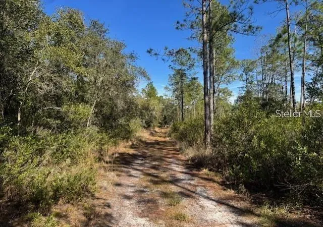 Photo 4 of Land for sale at Tbd NE 150th Avenue Rd #LOT 5, Fort Mc Coy, FL 32134 | MLS# OM730127 | Listing updated on 2026-08-12