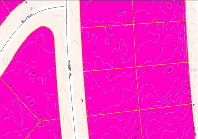Photo 3 of Land for sale at Tbd Sw 46th Circle, Ocala, FL 34473 | MLS# O6432545 | Listing updated on 2026-08-12