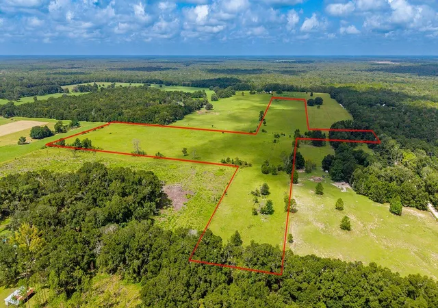 Photo 2 of Land for sale at 0000 Nw 20th Street, Bell, FL 32619 | MLS# GC542646 | Listing updated on 2026-08-12
