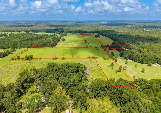 Photo 3 of Land for sale at 0000 Nw 20th Street, Bell, FL 32619 | MLS# GC542646 | Listing updated on 2026-08-12