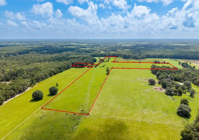 Photo 3 of Land for sale at 0000 NW 20th Street, Bell, FL 32619 | MLS# GC542646 | Listing updated on 2026-08-12
