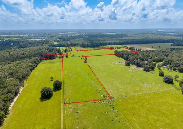 Photo 4 of Land for sale at 0000 NW 20th Street, Bell, FL 32619 | MLS# GC542646 | Listing updated on 2026-08-12
