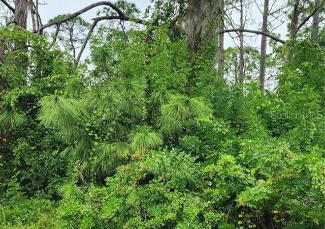 Photo 2 of Land for sale at 151 Ravenswood Blvd, Port Charlotte, FL 33954 | MLS# C7529464 | Listing updated on 2026-08-15