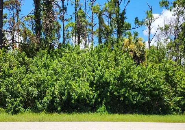 Photo 3 of Land for sale at 151 Ravenswood Blvd, Port Charlotte, FL 33954 | MLS# C7529464 | Listing updated on 2026-08-15