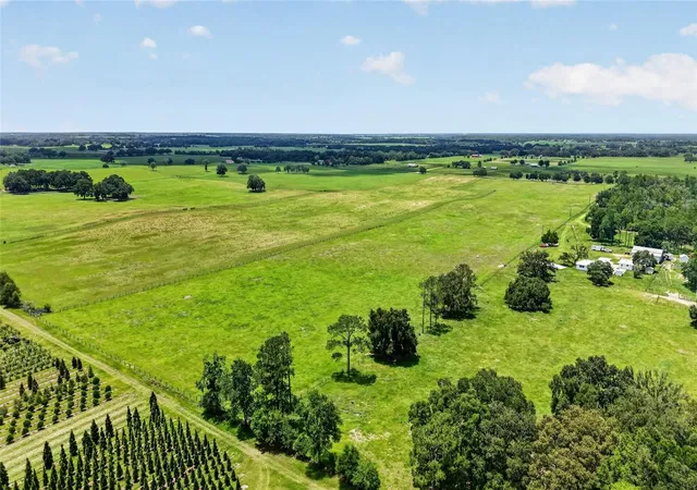 6th image of Tbd Nw 27 St, Morriston, FL 32668 | MLS# OM730155