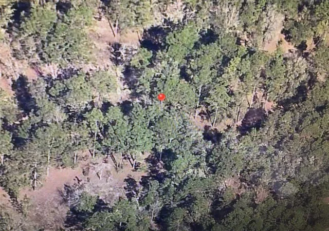 4th image of 0 Sw 19 Pl, Ocala, FL 34481 | MLS# OM730160