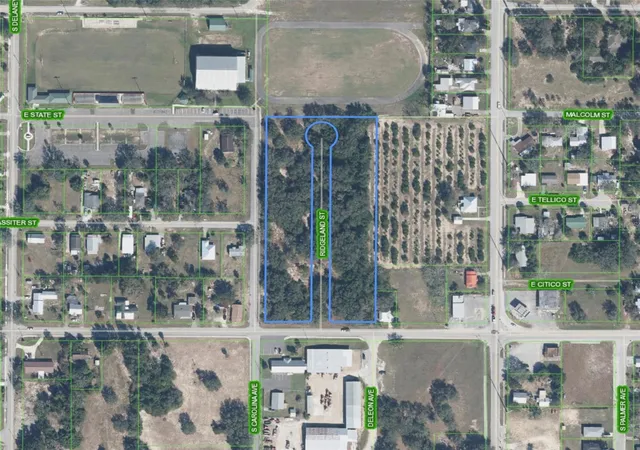 1st image of 301 E Cornell St, Avon Park, FL 33825 | MLS# L4964196