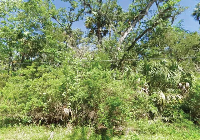 1st image of 10243 W Palmetto St, Homosassa, FL 34448 | MLS# O6432650