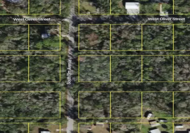 2nd image of 10243 W Palmetto St, Homosassa, FL 34448 | MLS# O6432650