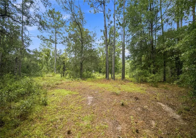 Photo 1 of Land for sale at 21350 Se 66th Street, Morriston, FL 32668 | MLS# OM730176 | Listing updated on 2026-10-05