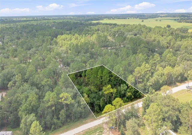Photo 2 of Land for sale at 21350 Se 66th Street, Morriston, FL 32668 | MLS# OM730176 | Listing updated on 2026-10-05
