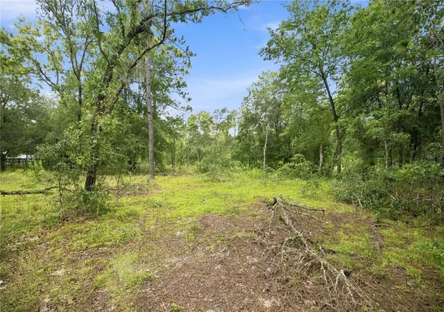 Photo 3 of Land for sale at 21350 Se 66th Street, Morriston, FL 32668 | MLS# OM730176 | Listing updated on 2026-10-05
