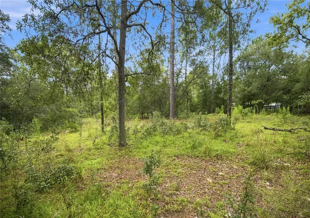 Photo 3 of Land for sale at 21350 SE 66th Street, Morriston, FL 32668 | MLS# OM730176 | Listing updated on 2026-10-05