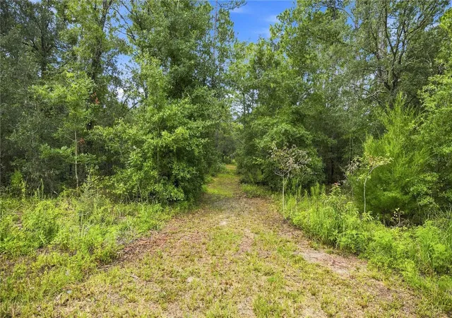 Photo 4 of Land for sale at 21350 SE 66th Street, Morriston, FL 32668 | MLS# OM730176 | Listing updated on 2026-10-05