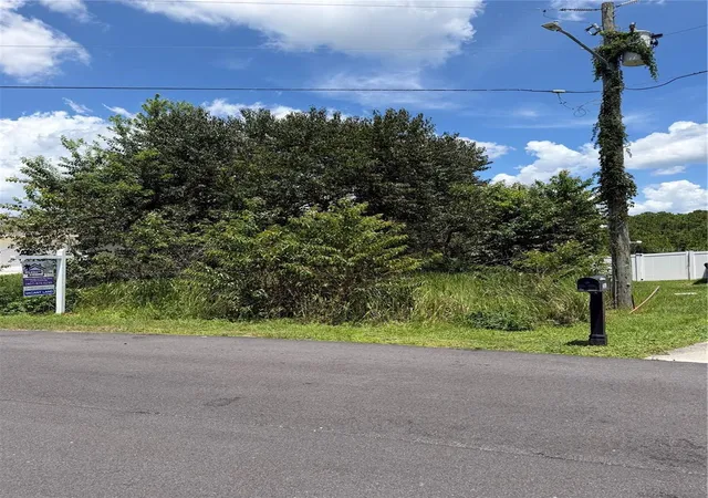 Photo 4 of Land for sale at 2159 Rio Grande Cyn Loop, Kissimmee, FL 34759 | MLS# O6432703 | Listing updated on 2026-08-24