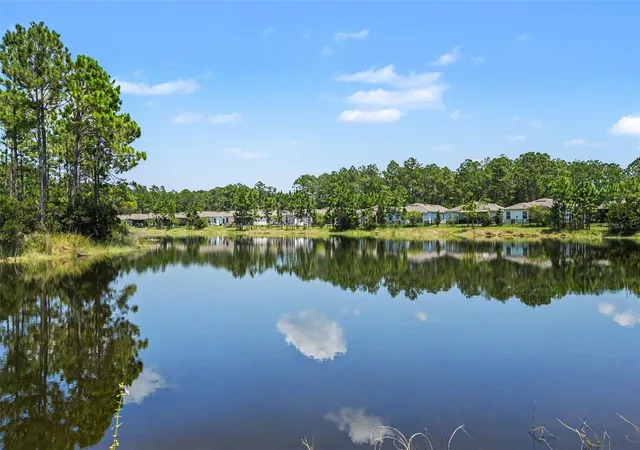 27th image of 769 Grand Reserve Dr, Bunnell, FL 32110 | MLS# FC320606