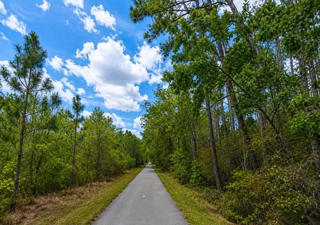 1st image of 00 Van Fleet Trl, Polk City, FL 33868 | MLS# O6432741
