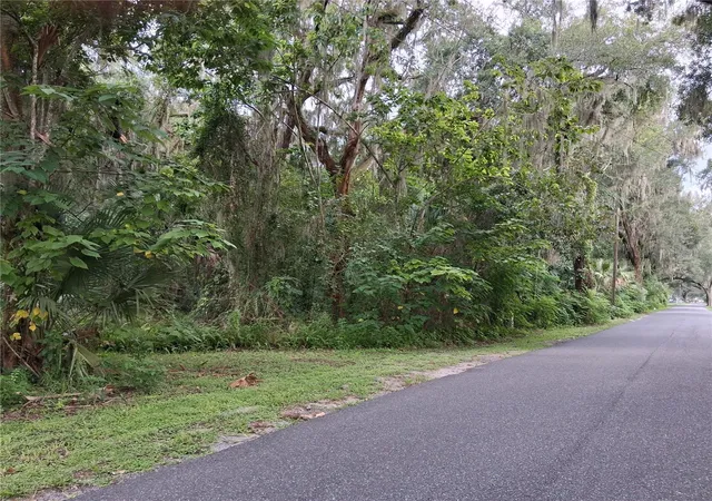 1st image of County Rd 730, Webster, FL 33597 | MLS# G5116353