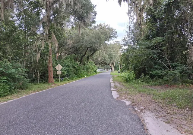 2nd image of County Rd 730, Webster, FL 33597 | MLS# G5116353