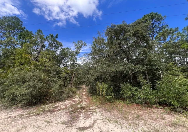 2nd image of 5614 S Georgian Rd, Homosassa, FL 34446 | MLS# K4903697