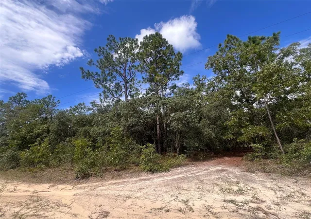 Photo 3 of Land for sale at 5614 S Georgian Rd, Homosassa, FL 34446 | MLS# K4903697 | Listing updated on 2026-08-13