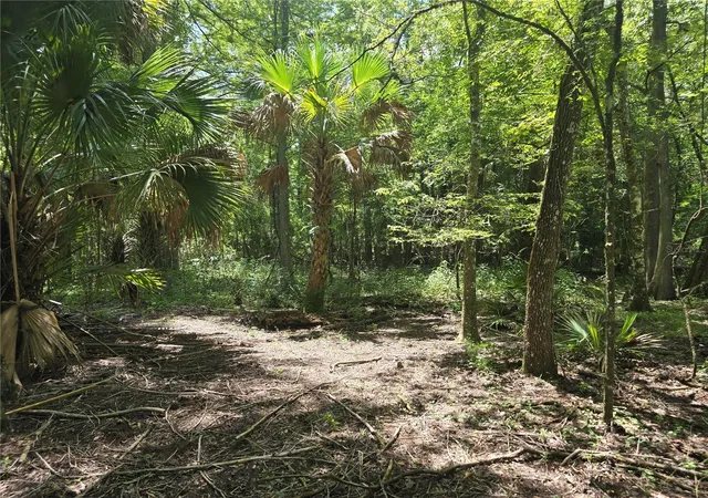 2nd image of 7521 S Clay Ter, Floral City, FL 34436 | MLS# TB8538063