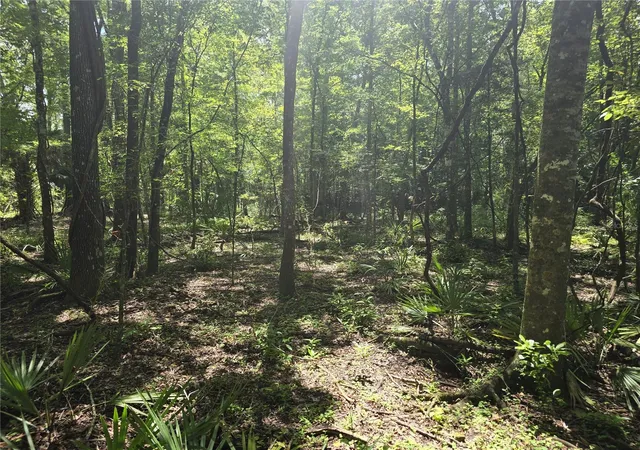 Photo 3 of Land for sale at 7521 S Clay Ter, Floral City, FL 34436 | MLS# TB8538063 | Listing updated on 2026-08-13