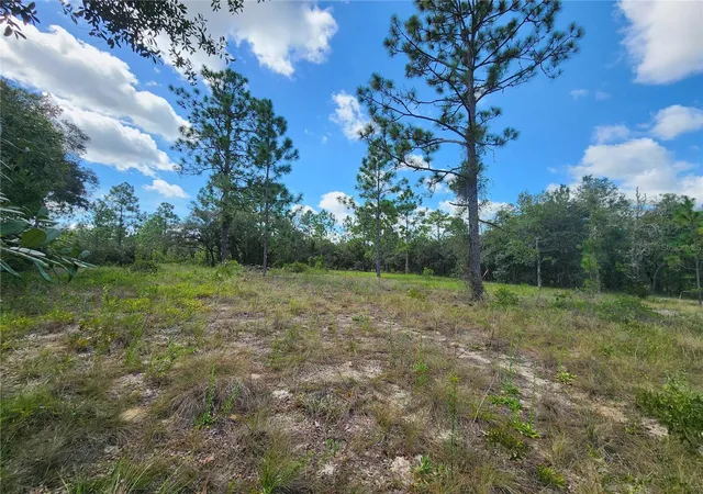 Photo 1 of Land for sale at Sw Nectarine Ln, Dunnellon, FL 34431 | MLS# OM730214 | Listing updated on 2026-10-07