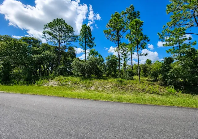 Photo 3 of Land for sale at Sw Nectarine Ln, Dunnellon, FL 34431 | MLS# OM730214 | Listing updated on 2026-10-07