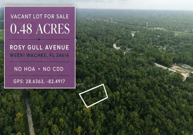 1st image of 14186 Rosy Gull Ave, Brooksville, FL 34614 | MLS# TB8538130