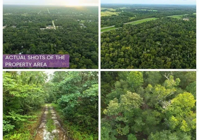 Photo 2 of Land for sale at 14186 Rosy Gull Ave, Brooksville, FL 34614 | MLS# TB8538130 | Listing updated on 2026-10-01