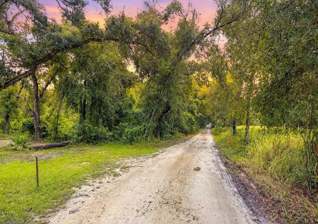1st image of 0 Lucilles Shady Ln, Nobleton, FL 34661 | MLS# W7888516