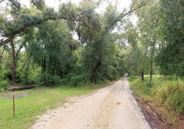 3rd image of 0 Lucilles Shady Ln, Nobleton, FL 34661 | MLS# W7888516