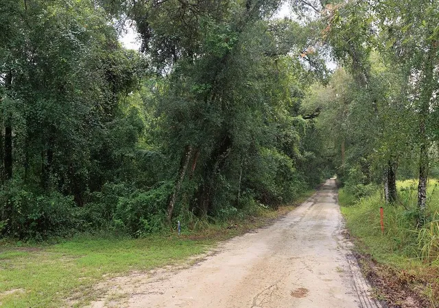 5th image of 0 Lucilles Shady Ln, Nobleton, FL 34661 | MLS# W7888516
