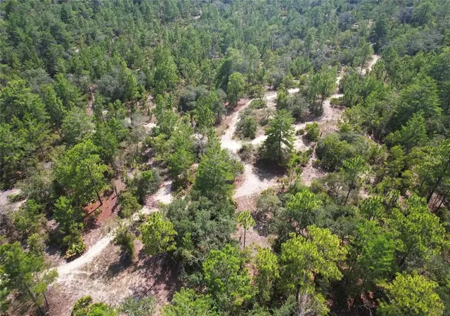 Photo 4 of Land for sale at 6496 N Bernzott Point, Dunnellon, FL 34433 | MLS# O6432992 | Listing updated on 2026-10-09