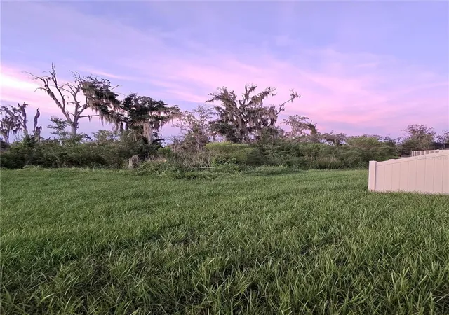 23rd image of 1663 Hazy Sea Dr, Plant City, FL 33565 | MLS# TB8538218