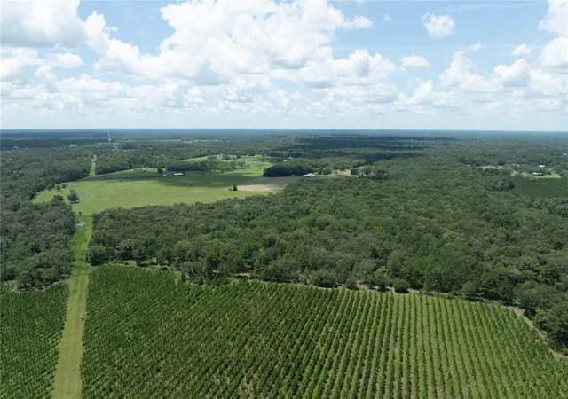 Photo 4 of Land for sale at 0 Nw Cr 225, Starke, FL 32091 | MLS# GC542686 | Listing updated on 2026-08-26