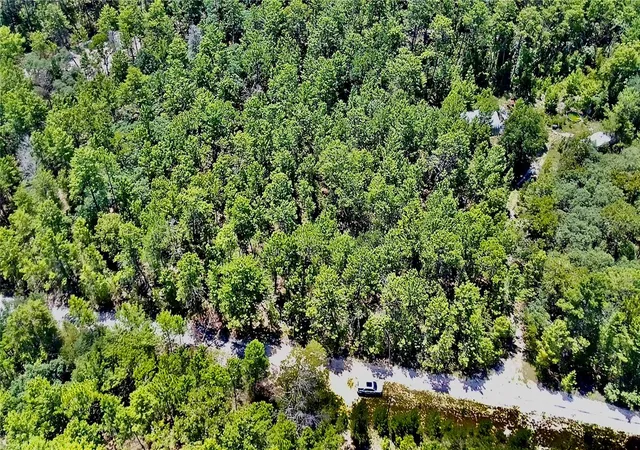 Photo 3 of Land for sale at 121 Pear St, Welaka, FL 32193 | MLS# NS1088988 | Listing updated on 2026-09-21