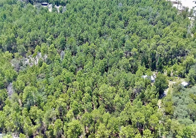 Photo 4 of Land for sale at 121 Pear St, Welaka, FL 32193 | MLS# NS1088988 | Listing updated on 2026-08-13