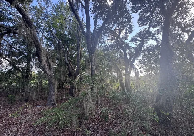 Photo 3 of Land for sale at 2251 E Four Seasons Ln, Inverness, FL 34453 | MLS# OM730269 | Listing updated on 2026-08-13