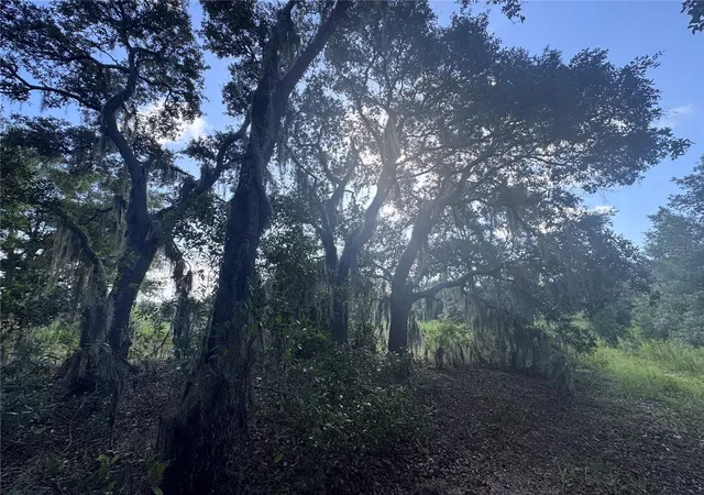 Photo 4 of Land for sale at 2251 E Four Seasons Ln, Inverness, FL 34453 | MLS# OM730269 | Listing updated on 2026-08-13