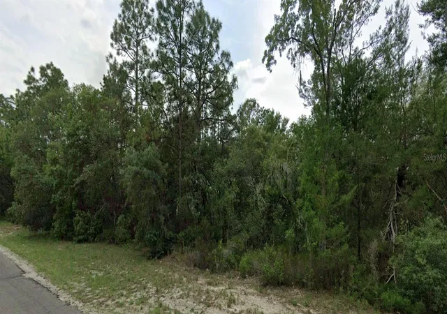 Land for sale at 0 SW 151 Place, DUNNELLON, FL 34432 | MLS# O6433091