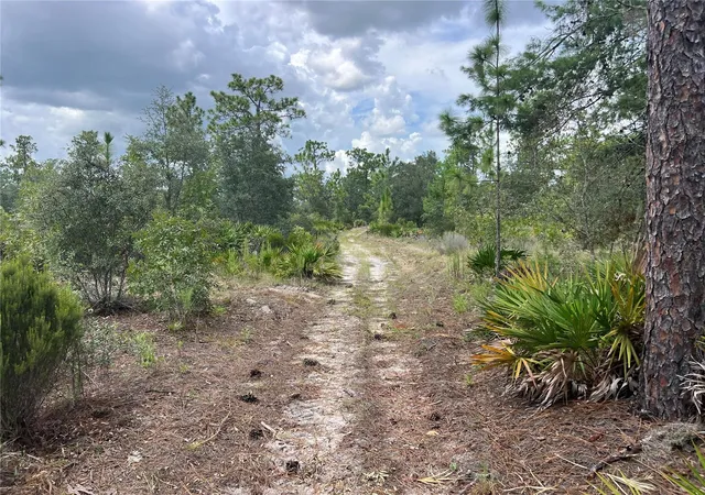 1st image of 200 St, Archer, FL 32618 | MLS# GC542699