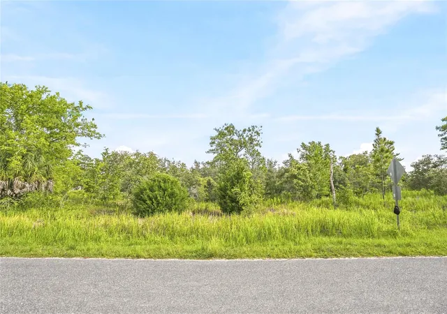 Photo 3 of Land for sale at 0 Ester Dr, Brooksville, FL 34613 | MLS# W7888552 | Listing updated on 2026-08-22
